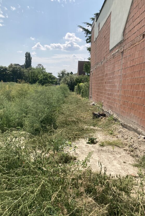 unbebautes Grundstück in 1220 Wien Aspernstraße