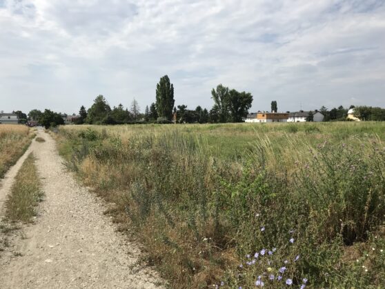 unbebautes Grundstück in 1220 Wien, Gundackergasse