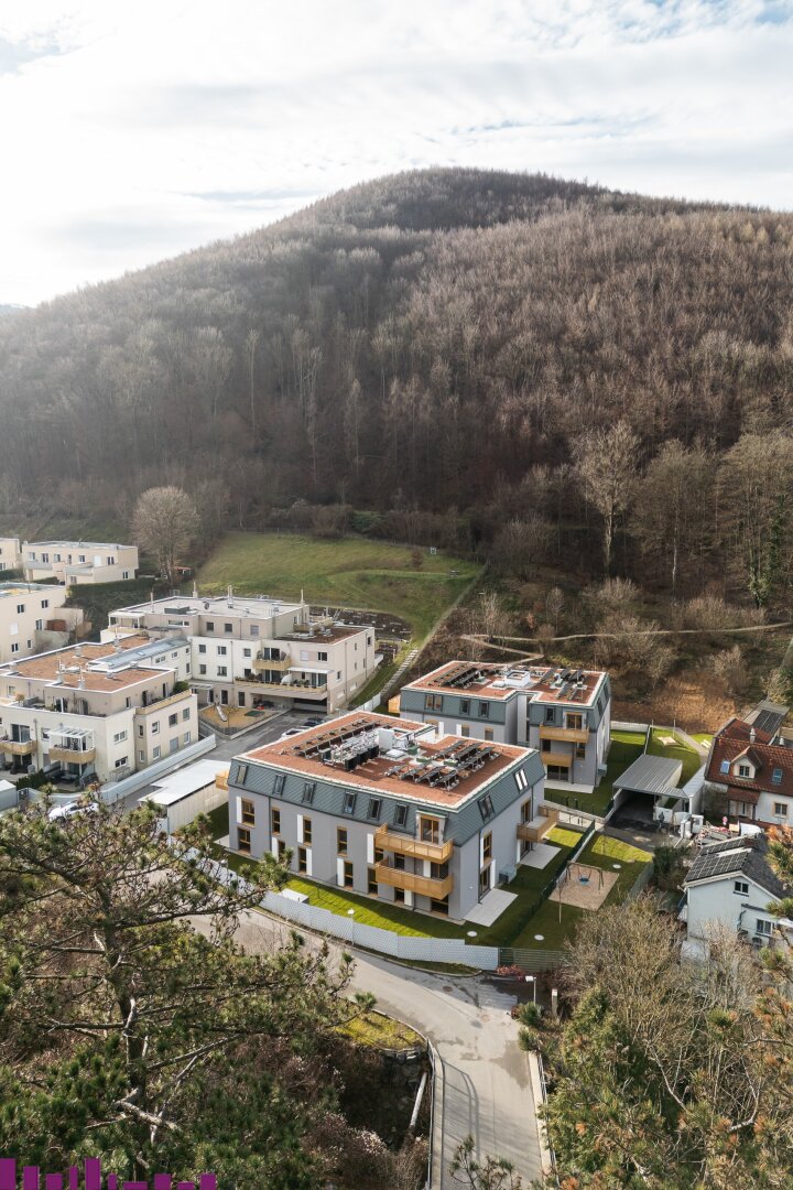 Wohnbauprojekt PUR Wohnen