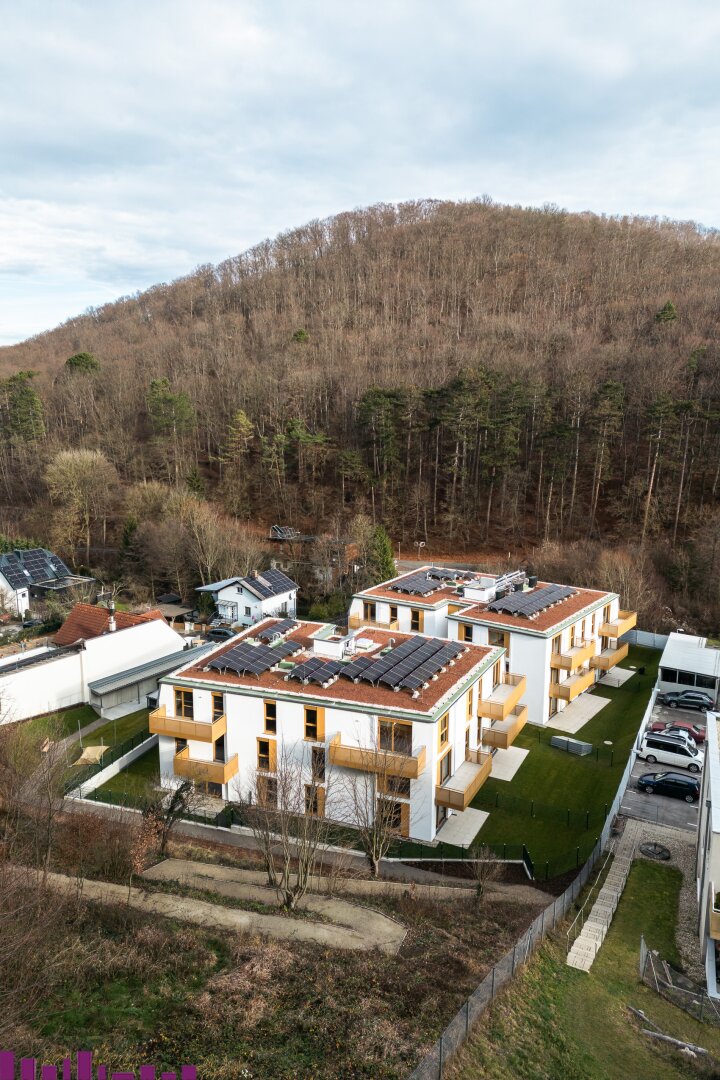 Wohnbauprojekt PUR Wohnen